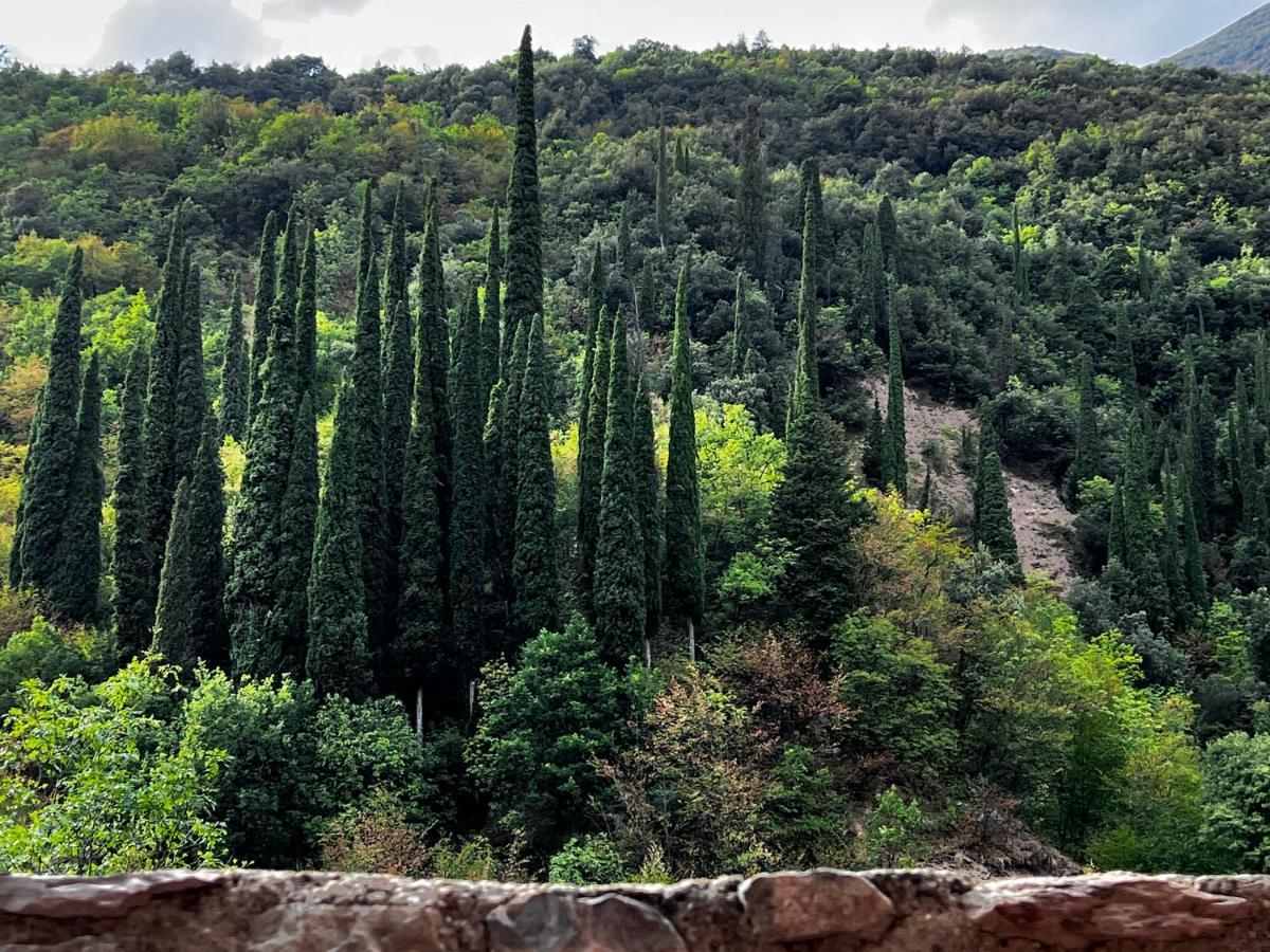 Casa Lindner Villa Rustico Ferienhaus 400M Zum Gardasee 13Schlafplaetze Toscolano Maderno Bagian luar foto